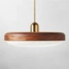 Capistrano Brass Pendant Light 22"