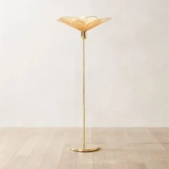 Emile Rattan And Polished Brass Floor Lamp -Cb2 Sales 2024 EmileFloorLampSHS22