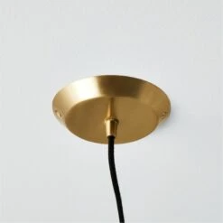 Exposior Brass Pendant Light Model 018 24.75" -Cb2 Sales 2024 ExposiorBrassPendantSSS21