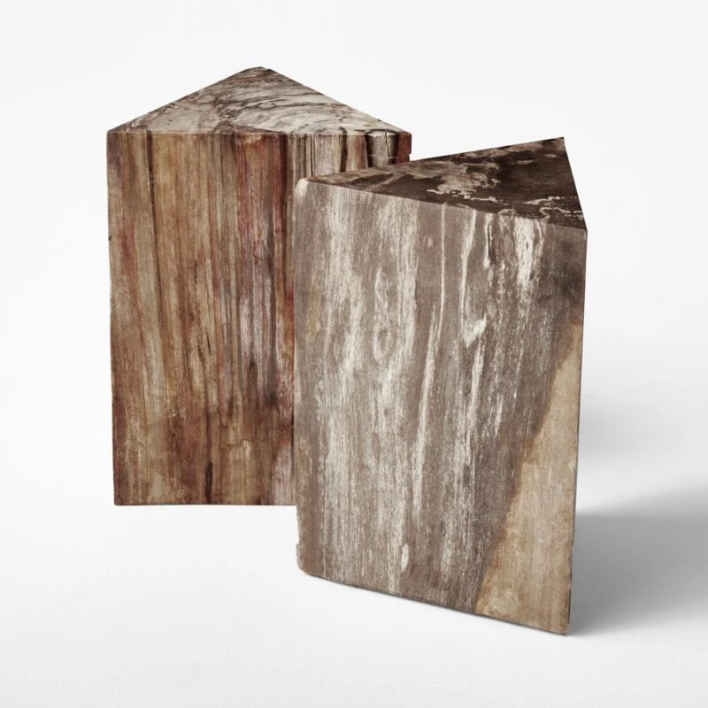 Tri Petrified Wood Side Table 6 Tri Petrified Wood Side Table - Image 6