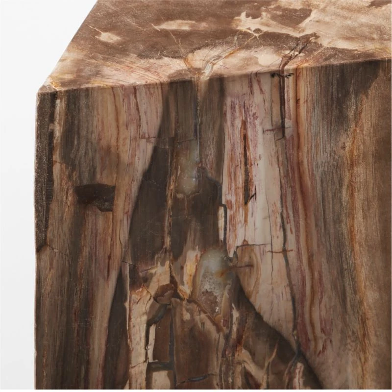 Tri Petrified Wood Side Table 5 Tri Petrified Wood Side Table - Image 5