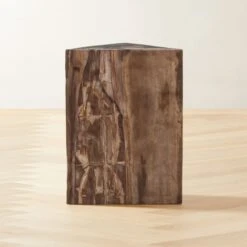 Tri Petrified Wood Side Table