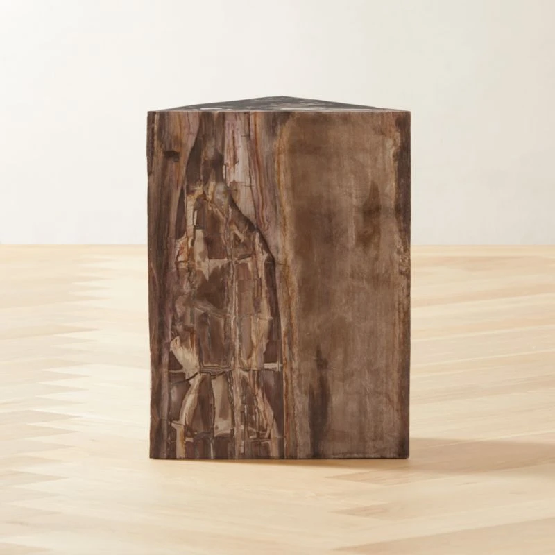 Tri Petrified Wood Side Table 1 Tri Petrified Wood Side Table