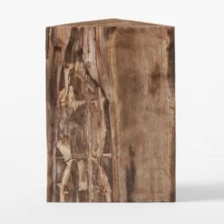 Tri Petrified Wood Side Table 8 Tri Petrified Wood Side Table -Cb2 Sales 2024 TriPtrfdWoodSideTableSOSSS22