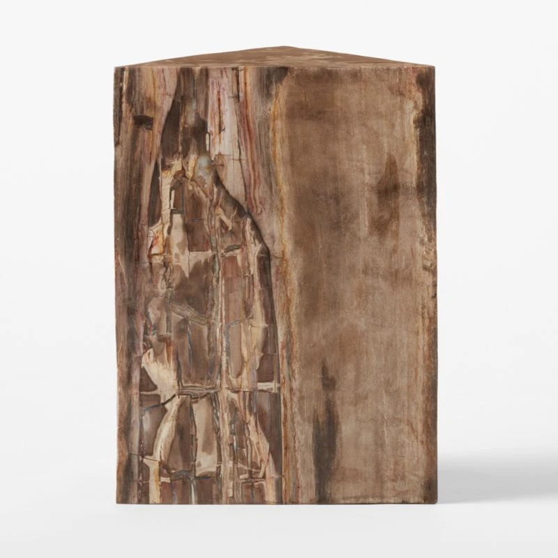 Tri Petrified Wood Side Table 3 Tri Petrified Wood Side Table - Image 3